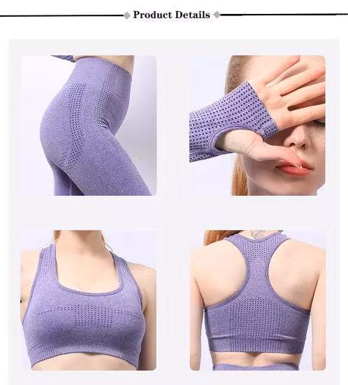 Quick Dry Sport Bra Leggings Seamless Breathable Fitness Exercise Workout Clothing Long Sleeve Yoga Sets
